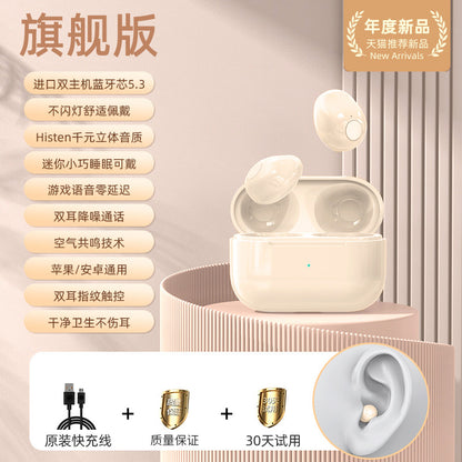 Mini Pro4SS Invisible True Wireless Bluetooth Earbuds